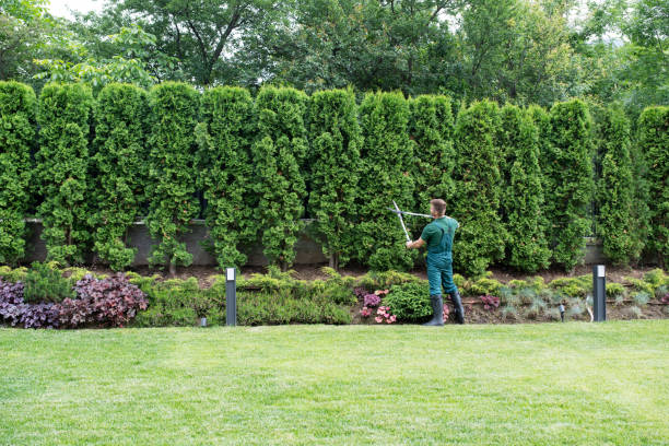 Best Arborist Consultation Services  in Glasgow, VA