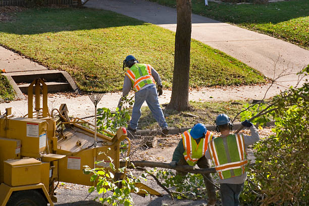  Glasgow, VA Tree Removal Pros